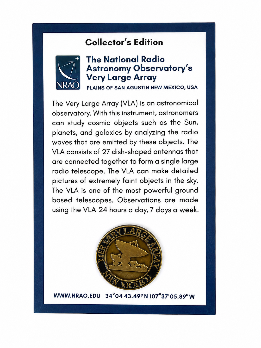 Bronze Pin