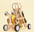 Crawling Robot